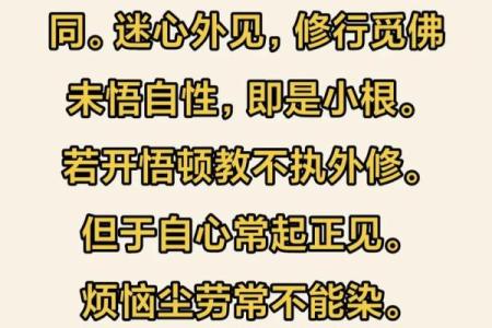 龙眼木命与其它命相配的智慧人生哲学