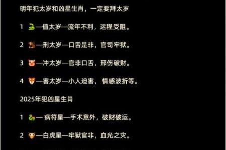 农历11月出生的蛇年人：命运与性格全解析