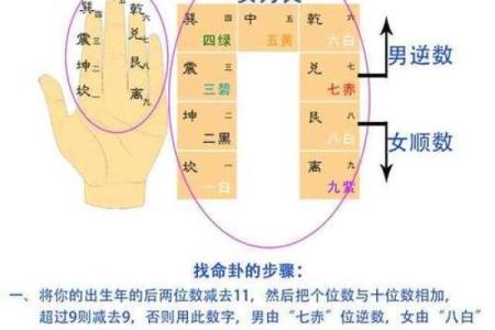 探索坤命东四命的独特魅力与人生智慧