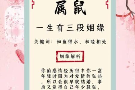 炉中火命与最佳配偶:探寻天生的缘分与默契