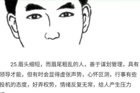 眉毛与财运：从面相看你的财富命运