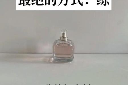 两命别踢：探秘生活中的命运交错与选择