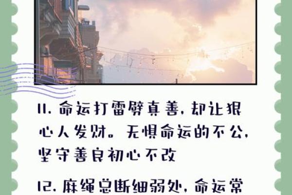 路旁土命：如何弥补命理缺失，提升生活质量？