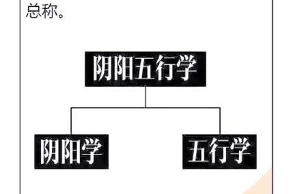数字五行的奥秘：探索命理学中的五行与人生的关联