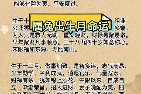 六三年属兔的命运解析：从五行看兔年的独特生命之旅