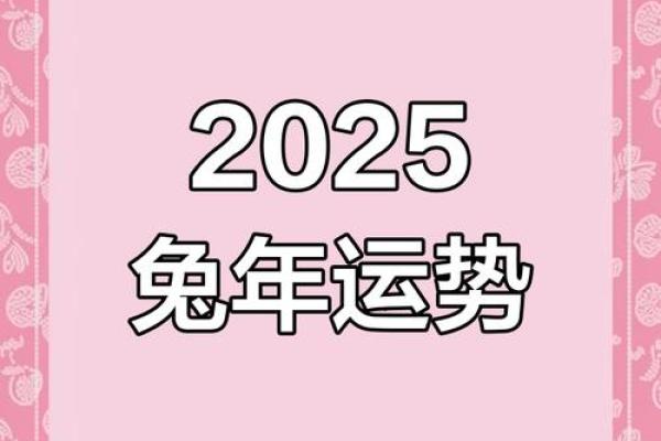 六三年属兔的命运解析：从五行看兔年的独特生命之旅