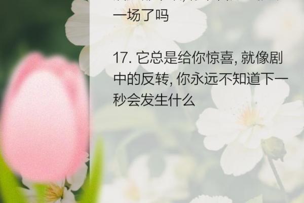 命还挺大的，人生中的那些小插曲与启示