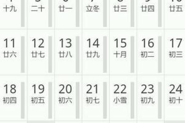 解读1996年7月15日出生者的命运与性格特征