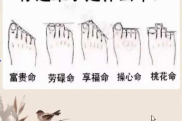 命弱富贵命：命理学中的独特解析与人生哲学思考