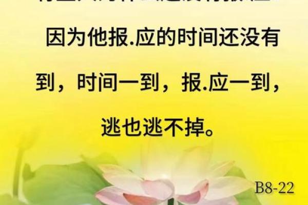 看命中的“远离水”：命理学中的玄机与生活指引