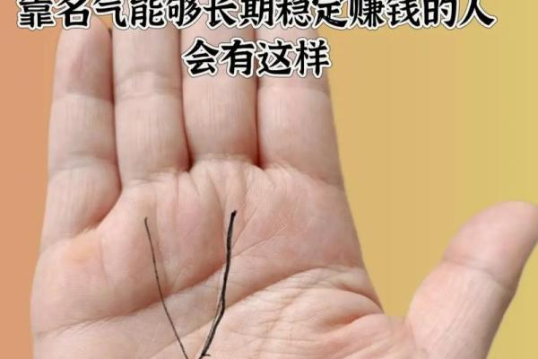 掌纹揭秘：如何通过手掌纹路了解自己的命运与未来