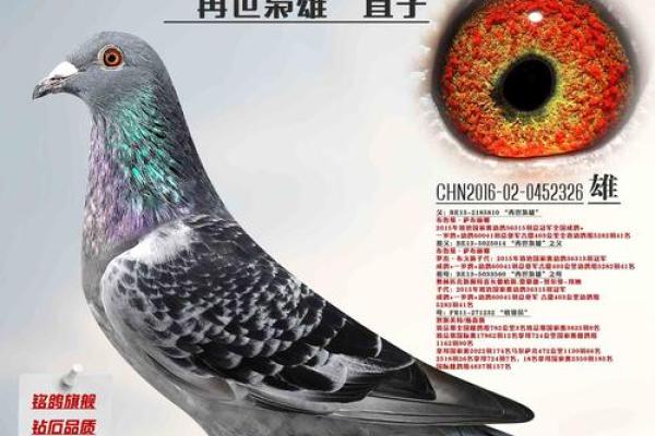 命理中的枭雄：解读三个枭雄的潜在意义与象征