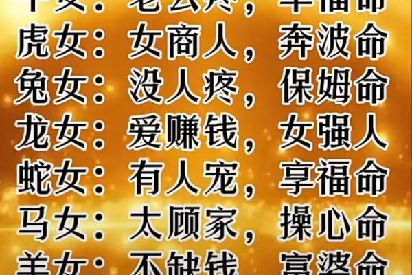 探索十二生肖：深入了解每年属相与命运的千年密码