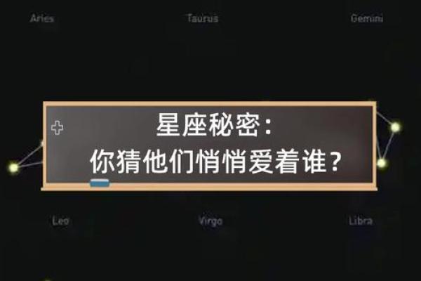 揭秘九条命的星座：它们在星空中的秘密与魅力
