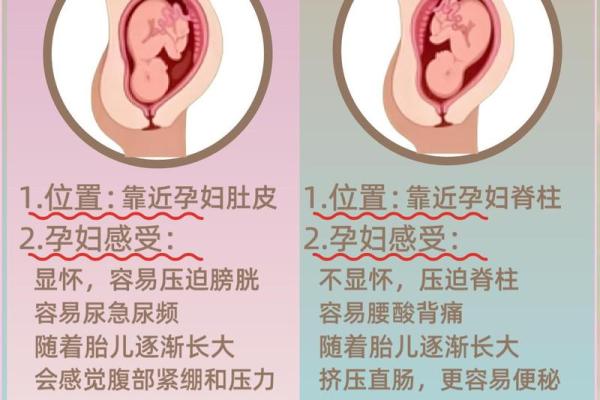 胎记与命运：揭秘女人胎记背后的真实寓意与人生轨迹