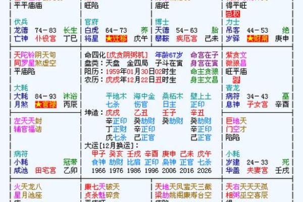 深入探讨命理学：解读“两命三命”的深刻含义