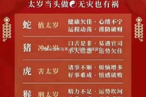 九一年猪年五行解析：探讨属猪之人的命运与特质