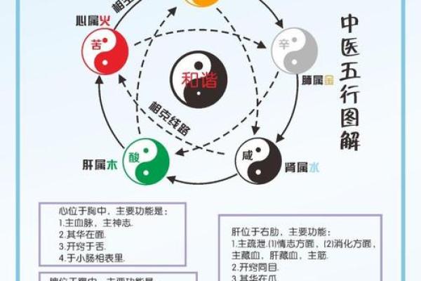 两木命与五行配合：理想命格的寻觅之旅