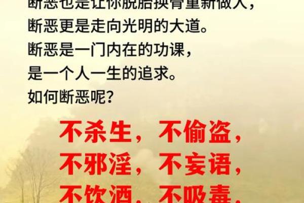 揭秘迷信：以命换命的深层含义与启示