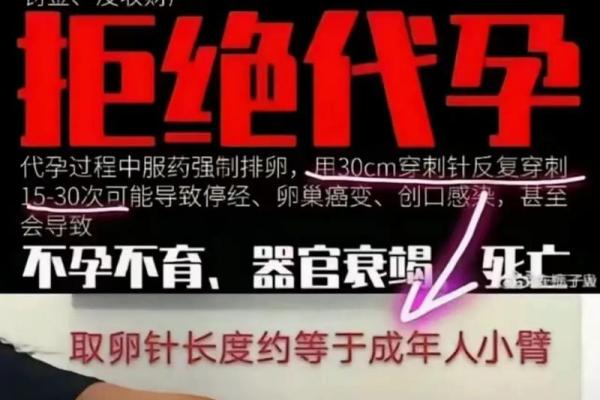女命中多个比肩的命理解析与人生启示