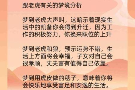 老虎生第三胎,虎宝宝命运如何?解密老虎生肖背后的神秘寓意