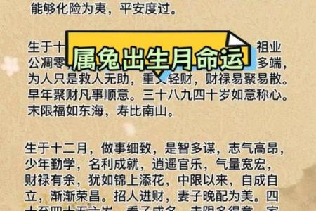 六三年属兔的命运解析:从五行看兔年的独特生命之旅