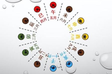 牛的颜色与命局的秘密：解密五行中的运势变化