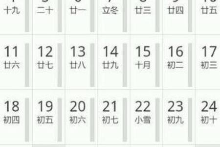 解读1996年7月15日出生者的命运与性格特征