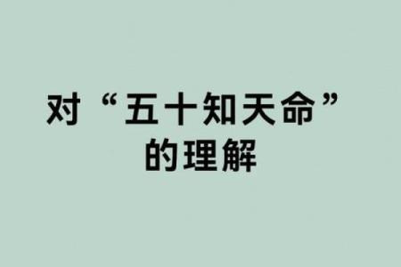 探寻“靠命养命”的深刻哲理与生活启示