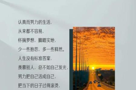 龙年8月出生的命格解析:挥洒自如的生活与命运之道