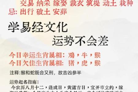 农历八月二十出生的女孩:命运与性格的奥秘揭示