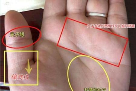 掌纹揭秘：如何通过手掌纹路了解自己的命运与未来
