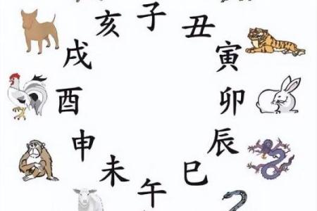 农历四月出生的猴子：命运与性格的探索与解析