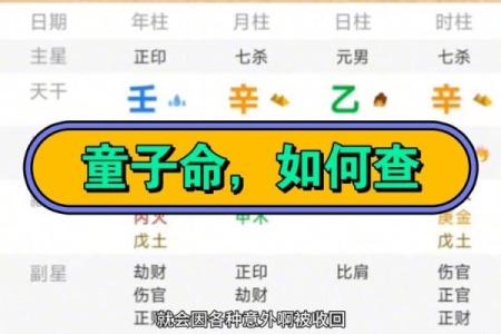 女命日柱童子：探索命理中的独特魅力与人生启示