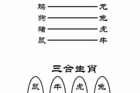 男属羊女大十岁，命运相伴的奇妙旅程