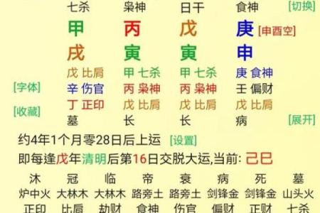炉中火命的深刻内涵与独特命理解析