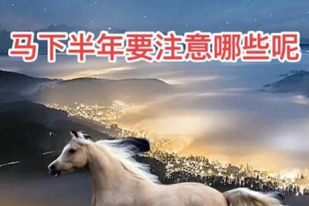 六六年八月属马人的命运分析与生活指南