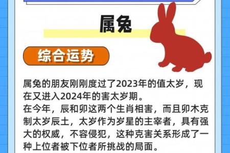 2023年男属兔何以命运揭秘：9月23日出生的神秘之旅