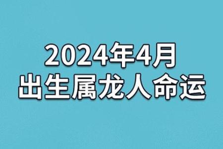 2024年：木龙之年，探索命理与生活的奇妙联系