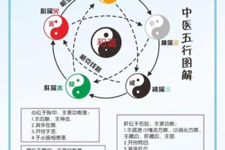 两木命与五行配合：理想命格的寻觅之旅