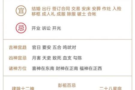 腊月巳时出生的人命理解析:神秘与命运的交织