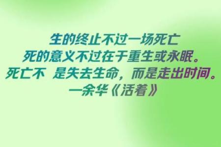 余诺金：命理解读与人生选择的深度思考