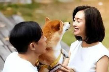 女命夫妻宫擎羊平解密：情感与婚姻中的隐秘影响