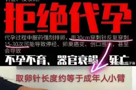女命中多个比肩的命理解析与人生启示