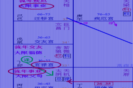 武曲命主的职业选择与发展前景