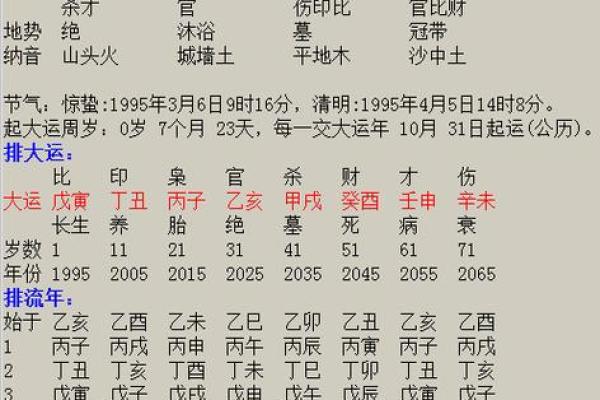 梅花间竹命：如何解读这一独特命局的深刻内涵