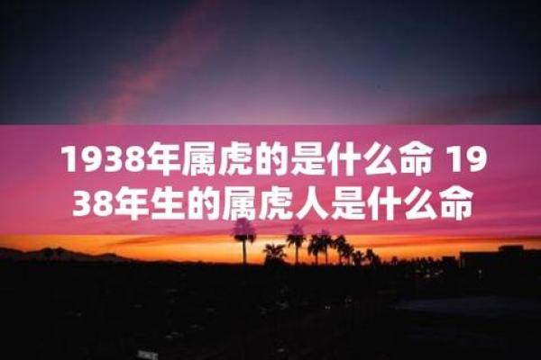 凌晨两点出生的虎：命格解析与人生启示