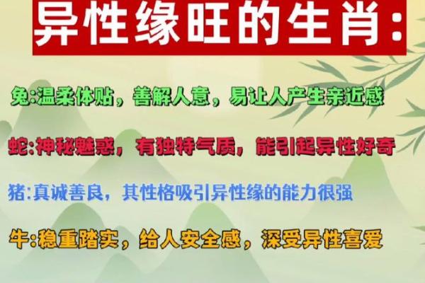 揭开女命占男八字的奥秘：探讨情感与命运的交织