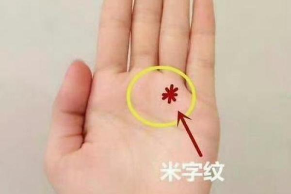 两手都有钱纹，预示着什么命运与财富的象征？