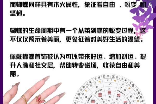 探索女生蝴蝶命的神秘含义与生活启示